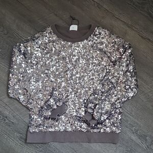Silver Sequin Sweater(Zara)